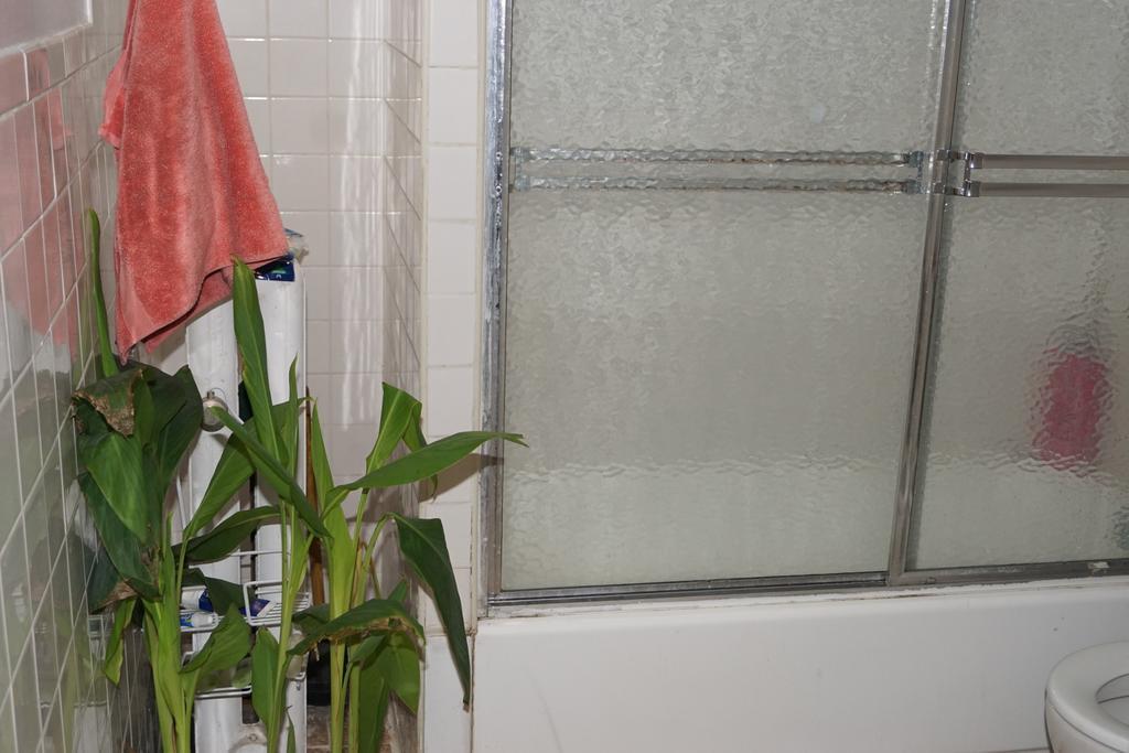 John 3 16 Christian Apartamento